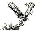 d03cf94b2bba91da64d3b01b36d7080b.png.png