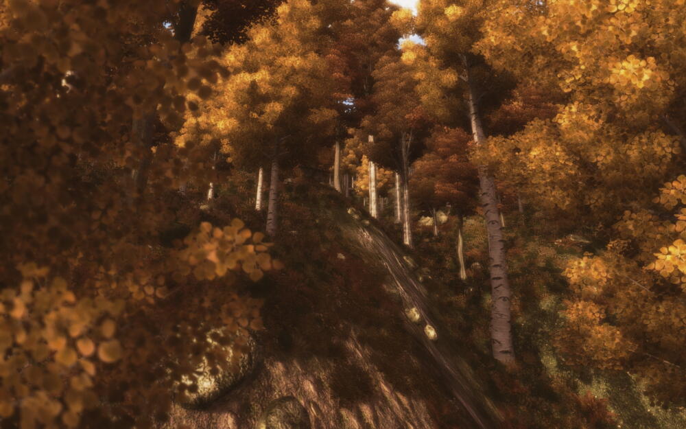 d4128ef24e588b127ac8b352c1a4b0b0.jpg.jpeg