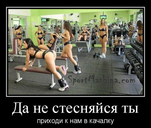 d5a3958bf2a7ace49b3c380d492236dfa31f3fbd.png.png