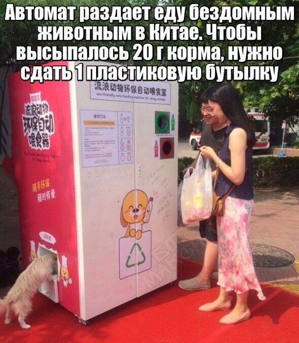 DaA8cR-W4AARkJr.jpg.jpeg