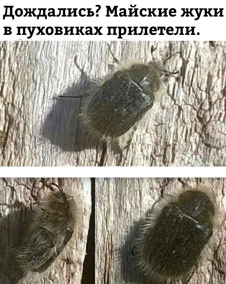 Db7kNsIXcAAUtA6.jpg.jpeg