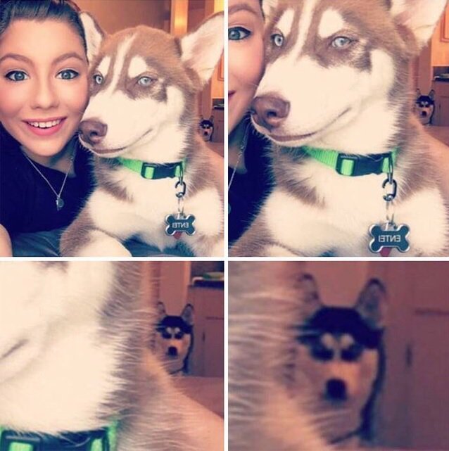 DbQLlDjXcAA5RA5.jpg.jpeg