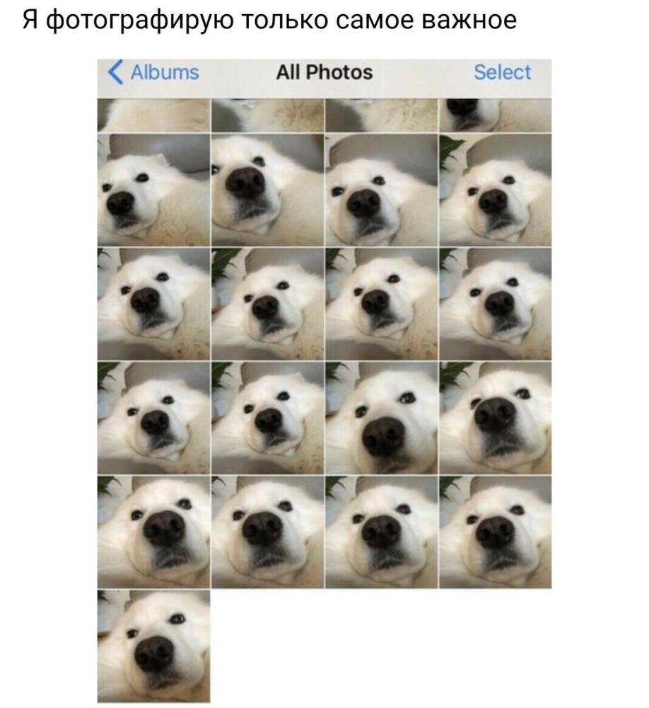 DWoJ4T3W4AAe0CM.jpg.jpeg