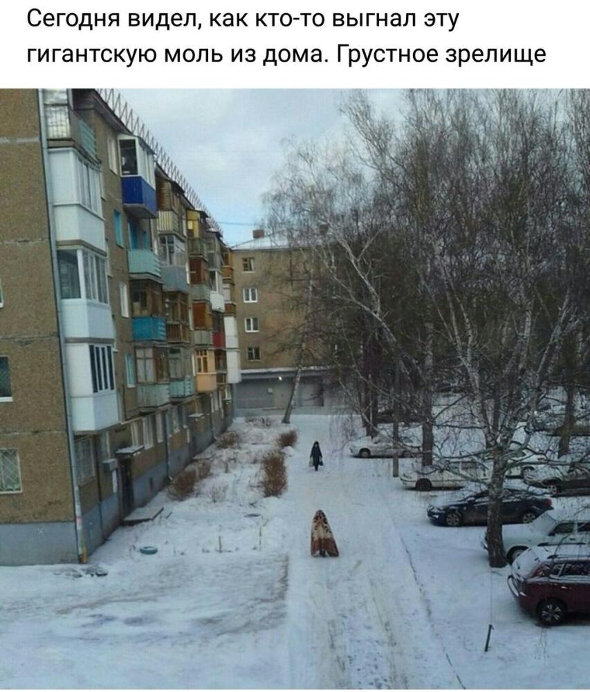 DXKGNWNXUAAsDRo.jpg.jpeg