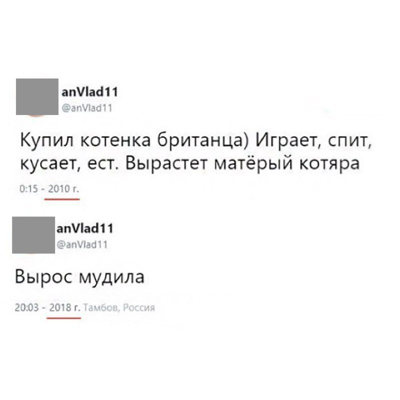 DZ-BtcXXcAgu6aj.jpg.jpeg