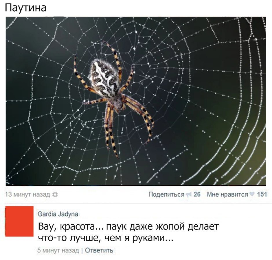 DZ2CTFXWsAANGRA.jpg.jpeg