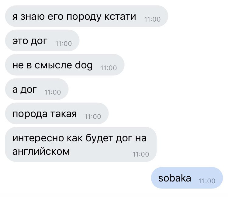 DZ7KYg-XcAUU8Wg.jpg.jpeg