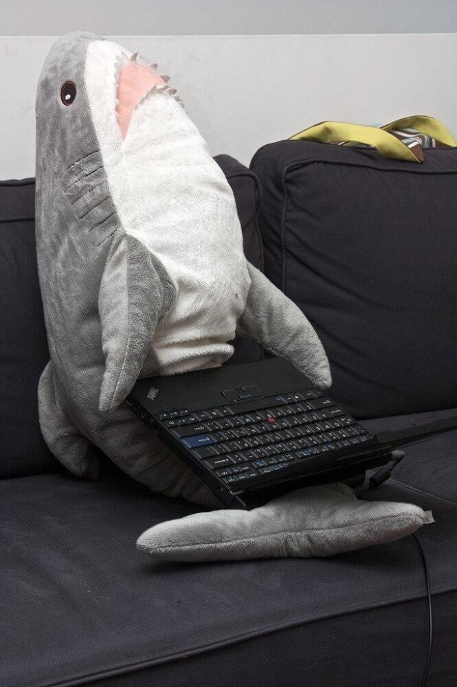 DZ7yKTbW4AAxqm4.jpg.jpeg