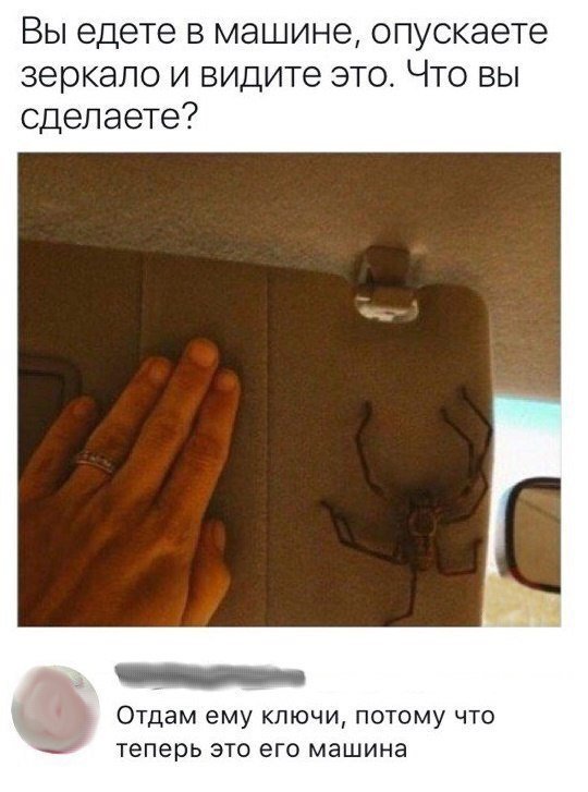 DZe12HNXcAAEp4O.jpg.jpeg