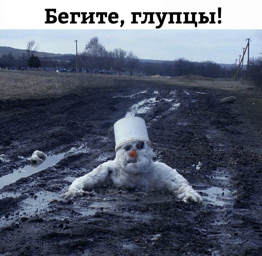 DZoKXGAWsAA7jRy.jpg.jpeg