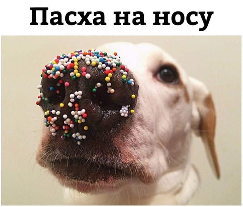 DZw-bN4WkAEe0gu.jpg.jpeg