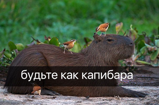 DZXTrD1X0AA9zds.jpg.jpeg