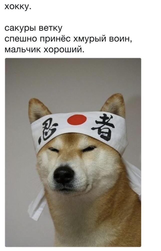 DZxZIfJXkAEXRXm.jpg.jpeg