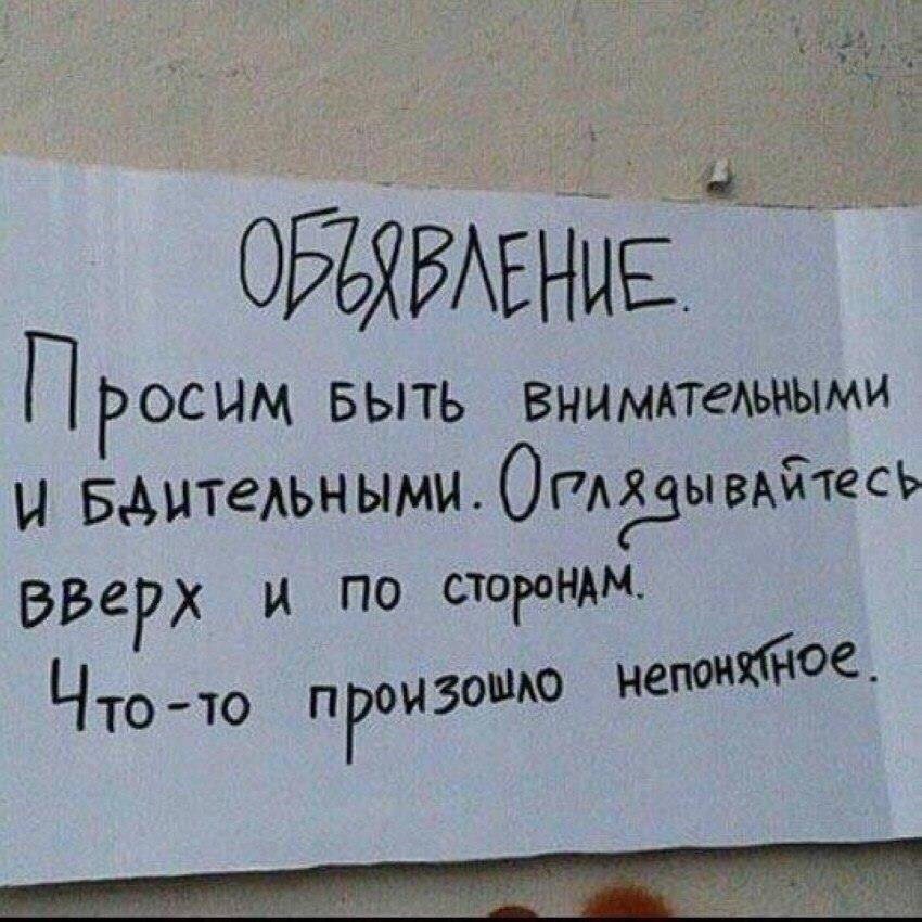 DZy2cokX4AA3hiV.jpg.jpeg