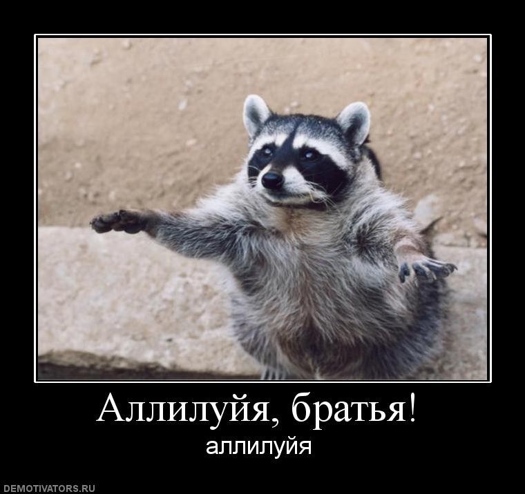 fb77747086.jpg.jpeg
