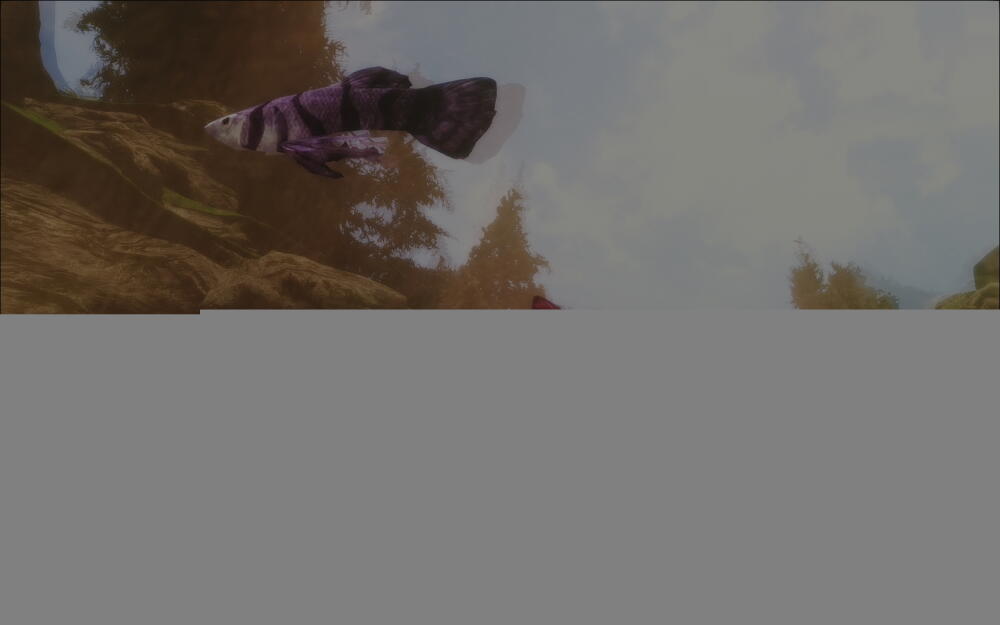 Hh41pc3k_o.jpg.jpeg
