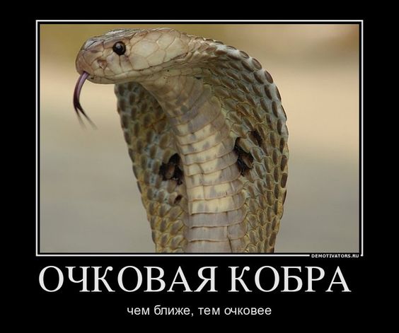 image.jpg.jpeg