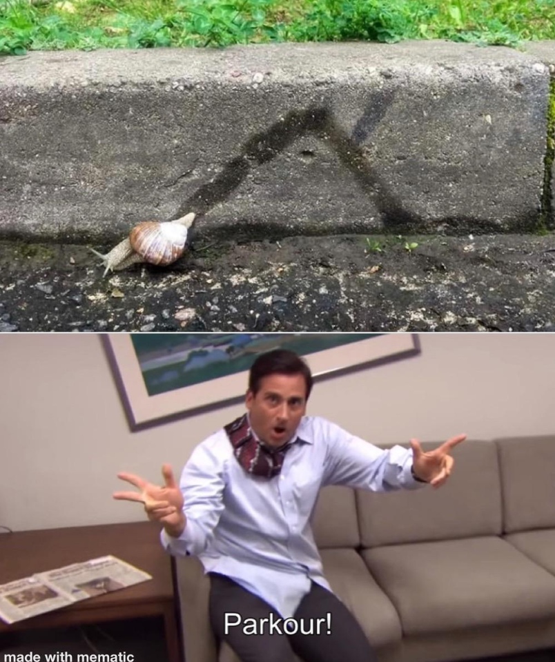 jpg.jpeg