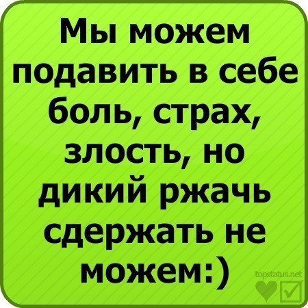jpg2069921724.jpg.jpeg