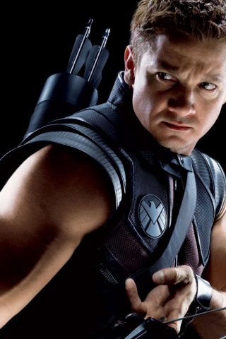 mstiteli_the_avengers_dzheremi_renner_klin999_(sefan.ru).jpg.jpeg