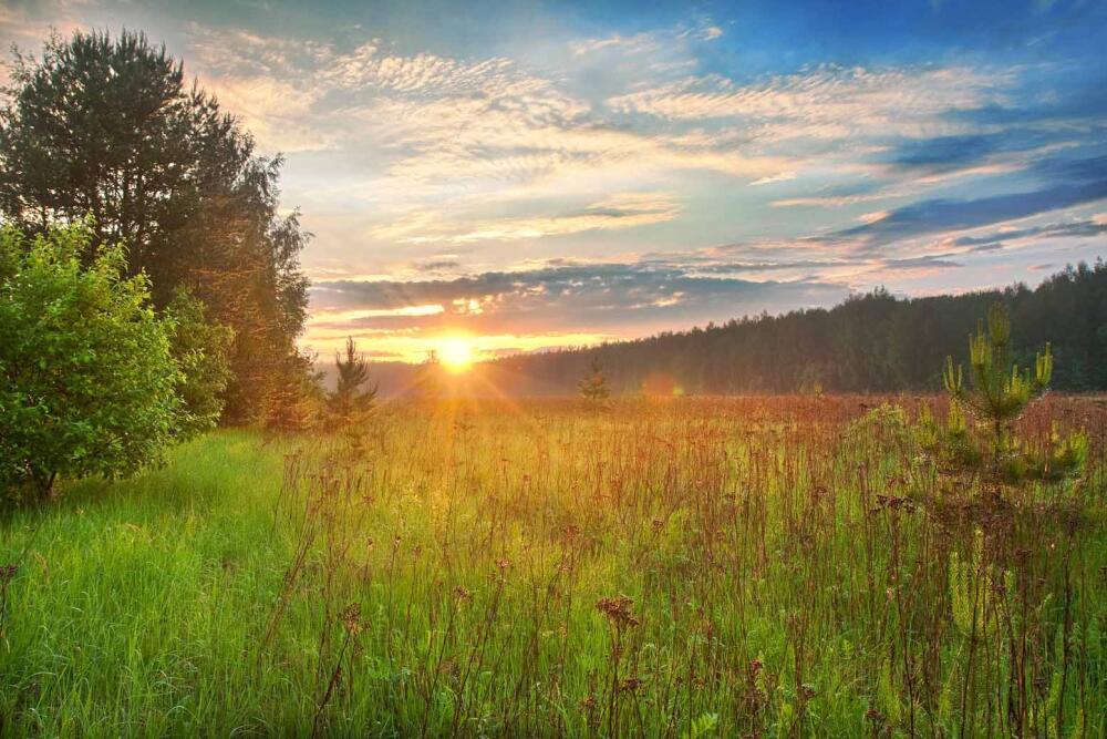 Nadezhdibo_HDR2.jpg.jpeg
