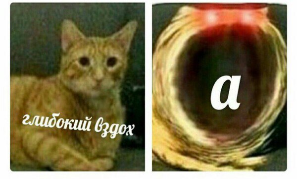 au0-jsHmDtc.jpg