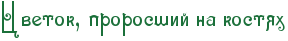 RcvetokIG0PprorosSiIPnaPkostyh.png.png