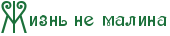 RZiznxPnePmalina.png.webp.png