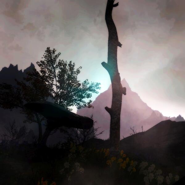 Impression ENB