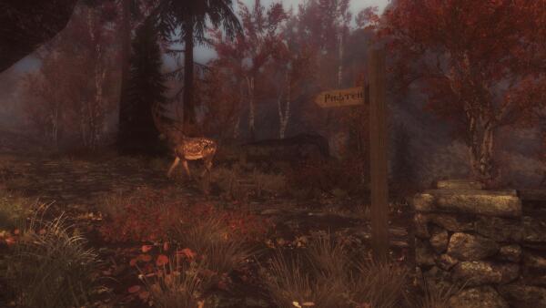 Тест enb