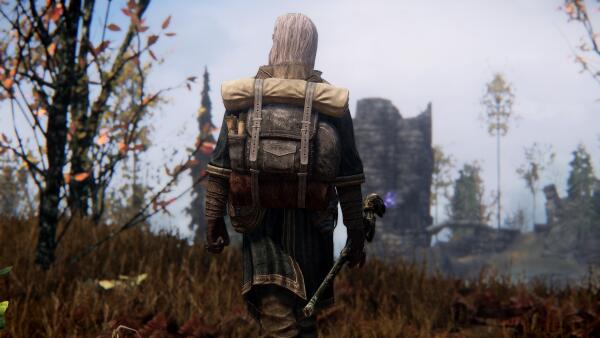 Wandering Dunmer Mage