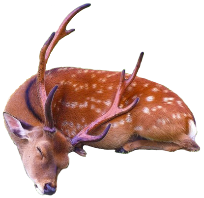 tumblr_mhibxlRxNq1rm6jd7o1_500.png.png