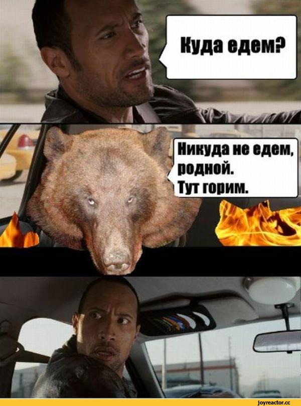 %D1%82%D0%B0%D0%BA%D1%81%D0%B8-%D0%BC%D0%B5%D0%B4%D0%B2%D0%B5%D0%B4%D1%8C-%D1%82%D0%B5%D0%BC-%D0%B2%D1%80%D0%B5%D0%BC%D0%B5%D0%B.jpeg