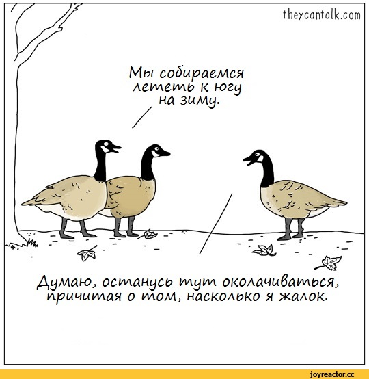 %D1%81%D0%B5%D1%80%D0%B0%D1%8F-%D0%BF%D1%82%D0%B8%D1%87%D0%BA%D0%B0-%D0%BF%D0%B5%D1%81%D0%BE%D1%87%D0%BD%D0%B8%D1%86%D0%B0-%D0%B.jpeg