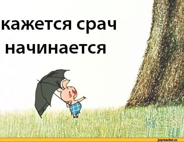 %D1%80%D0%BE%D0%B8%D1%81%D1%81%D1%8F-%D0%BB%D0%B5%D0%B4%D0%B5%D0%BD%D1%8F%D1%89%D0%B8%D0%B9-%D0%B4%D1%83%D1%88%D1%83-%D0%BF%D0%B.jpeg