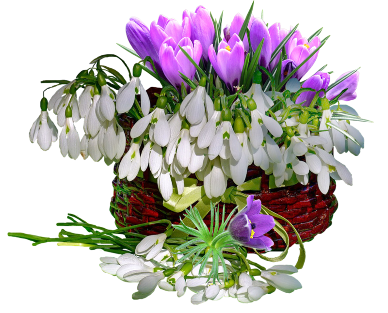 01 (10).png.webp.png