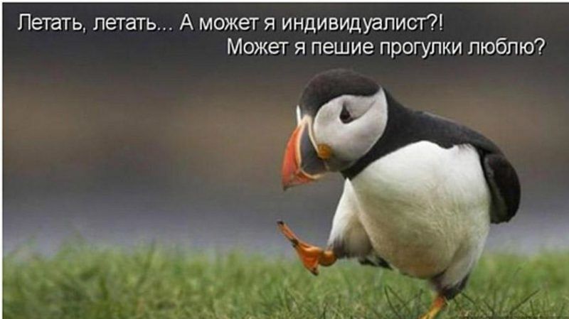 091012004234593.jpg.jpeg