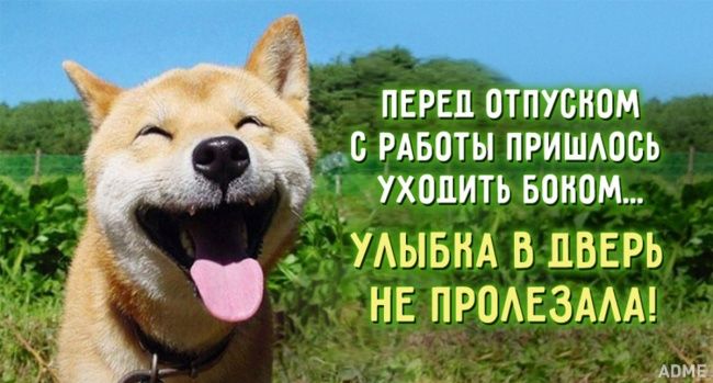0b2139e9bf757b8f0ef8343402df70c3.jpg.jpeg