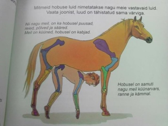 1257444_original.jpg.jpeg