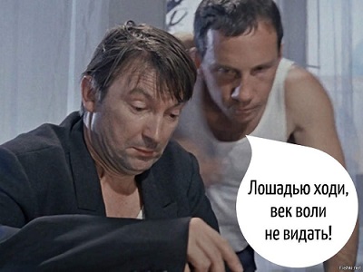 1324adc8a8d3.jpg.jpeg