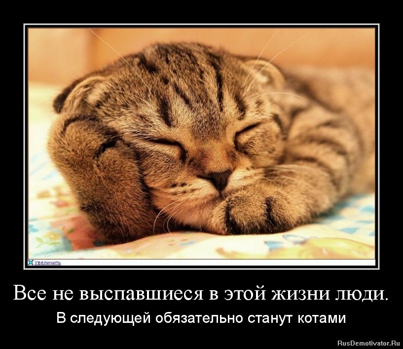 1334911102-vse-ne-vyspavshiesya-v-yetoj-zhizni-lyudi..jpg.jpeg