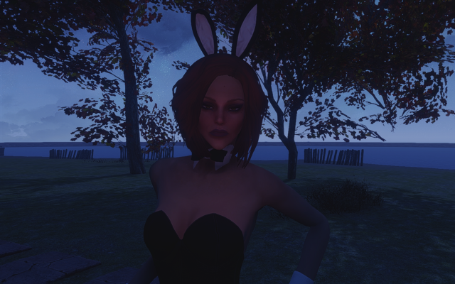 13513128_m.png.webp.png