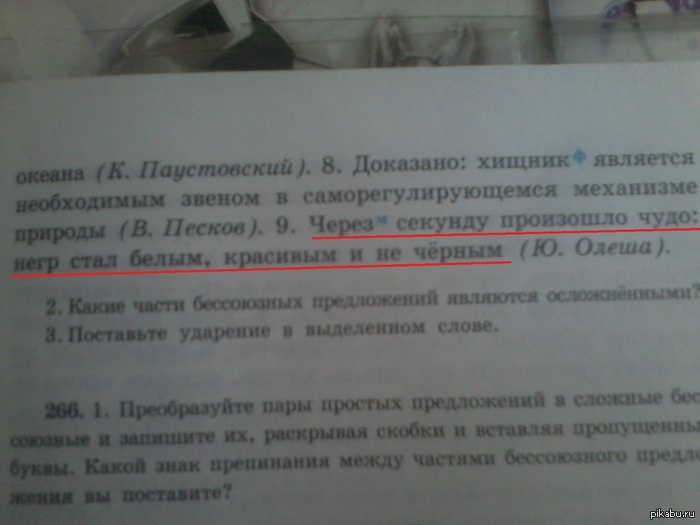 1360772824_721640538.jpg.jpeg
