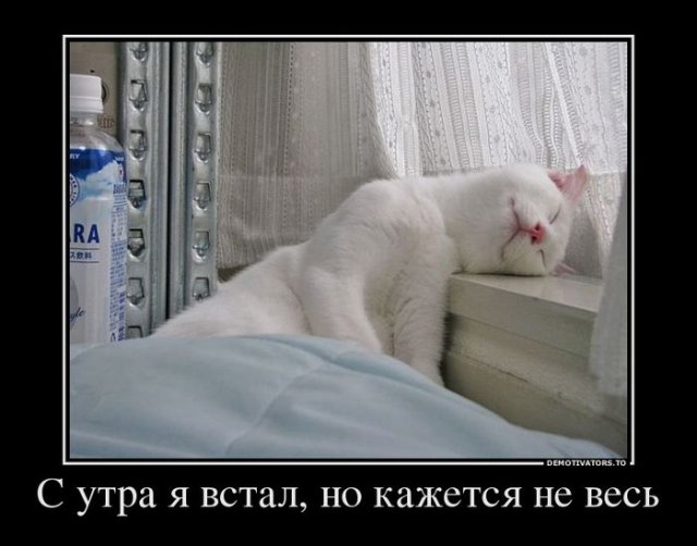 1361260297_20.jpg.jpeg