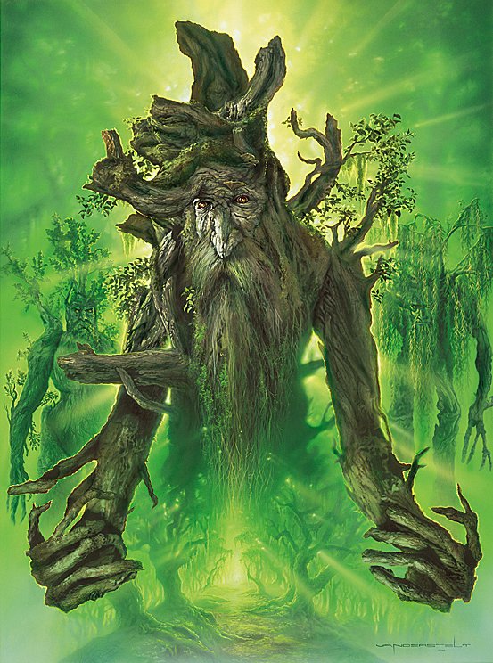 1365306499_treebeard.jpg.jpeg