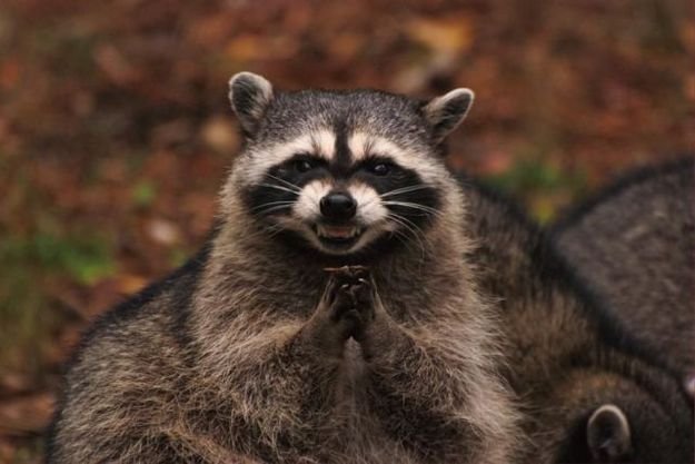 13740443836138.jpg.jpeg