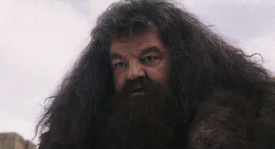 1383108659_274778354.gif