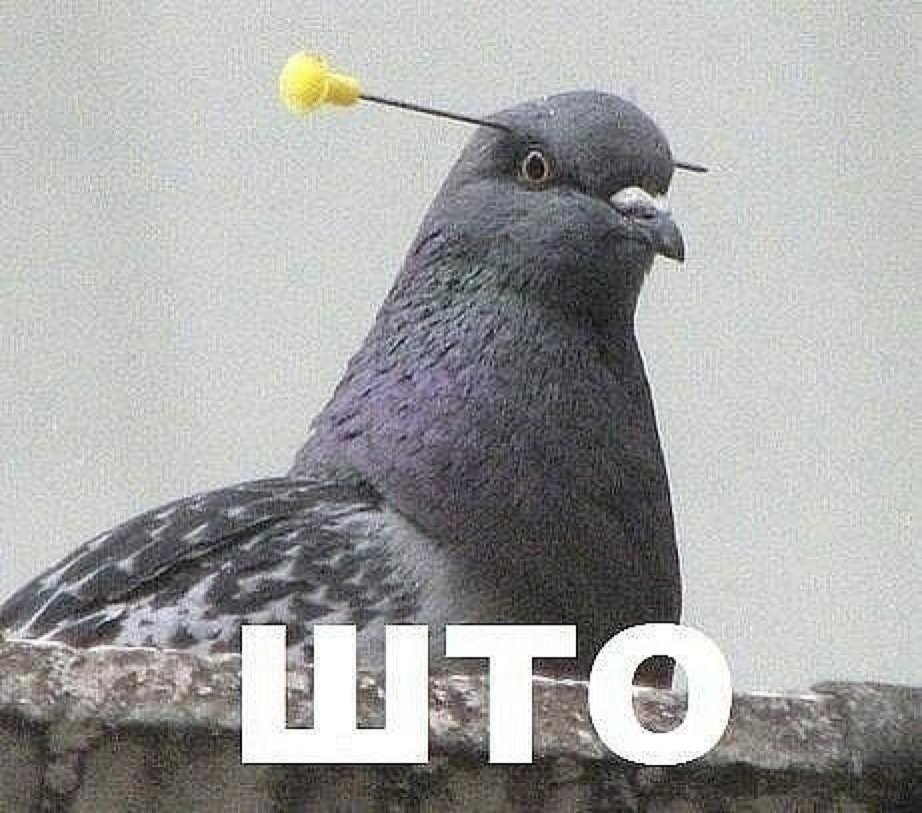 13836630785704.jpeg