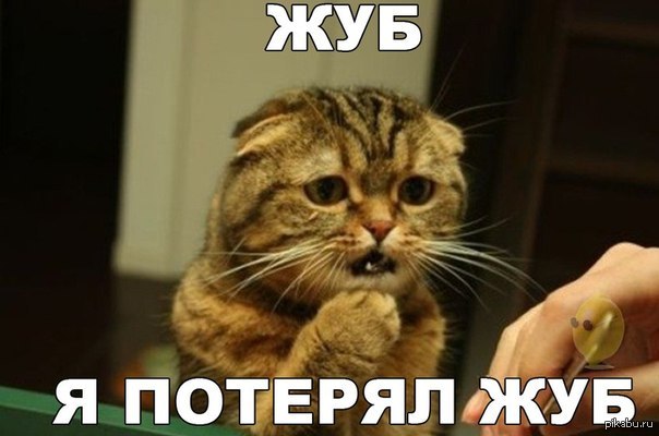 1394778364_844225300.jpg.jpeg