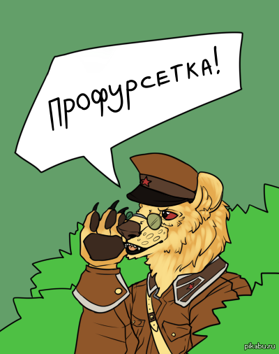 1422186589_58696970.png.png